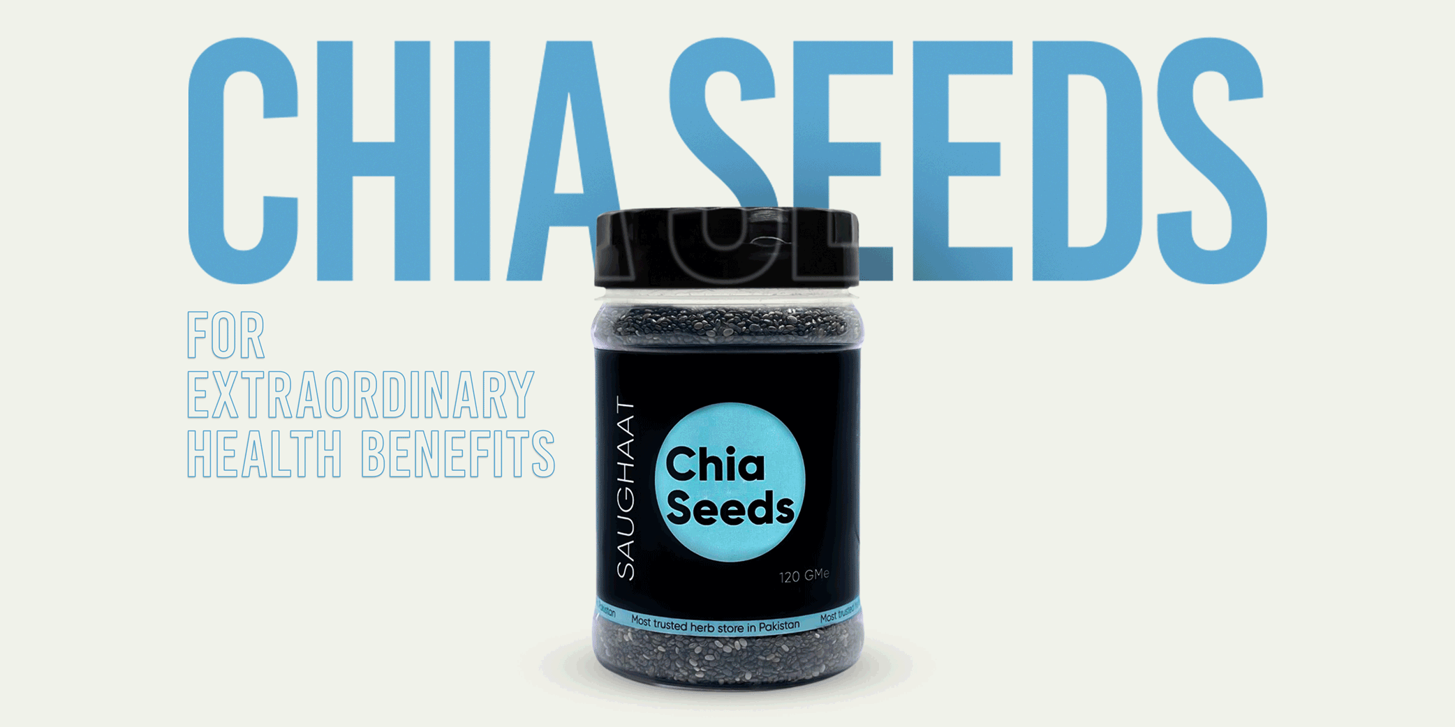 What are Chia Seeds