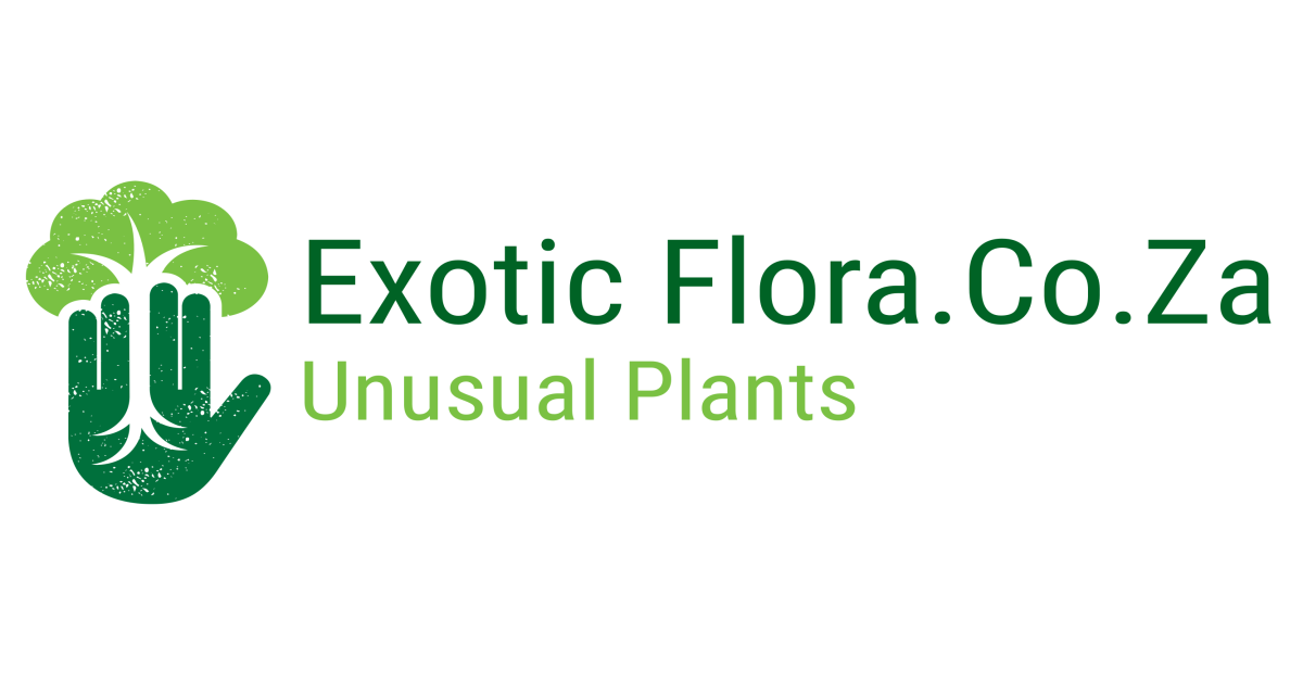 ExoticFlora.Co.Za