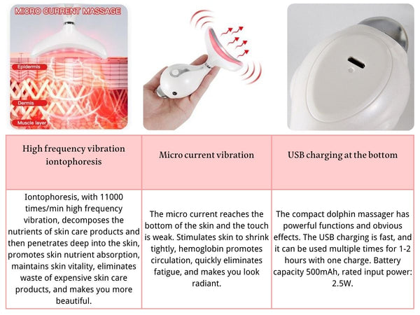 PELCAS Facial Massager