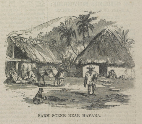 Farm Near Havana Cuba 1859 Chinese Coolie Trade