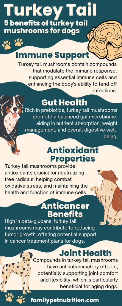 Turkey tail benefits for dogs infographic