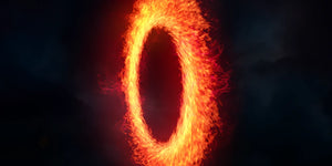 Portals - rocketshutterdigital