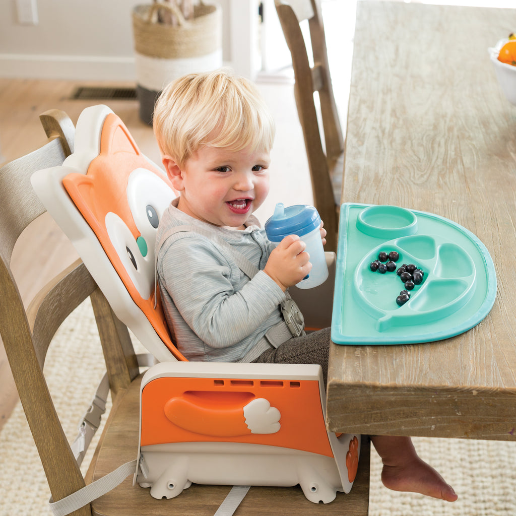 Grow With Me 4 In 1 Convertible High Chair Infantino