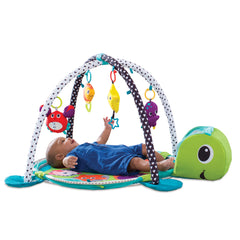 infantino grow with me activity gym and ball pit