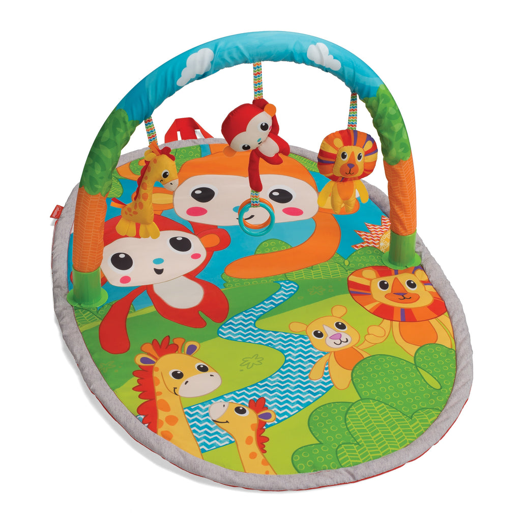 infantino explore and store activity gym