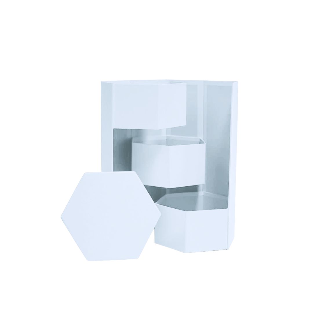 Hexagon Triple Layer Flower Box