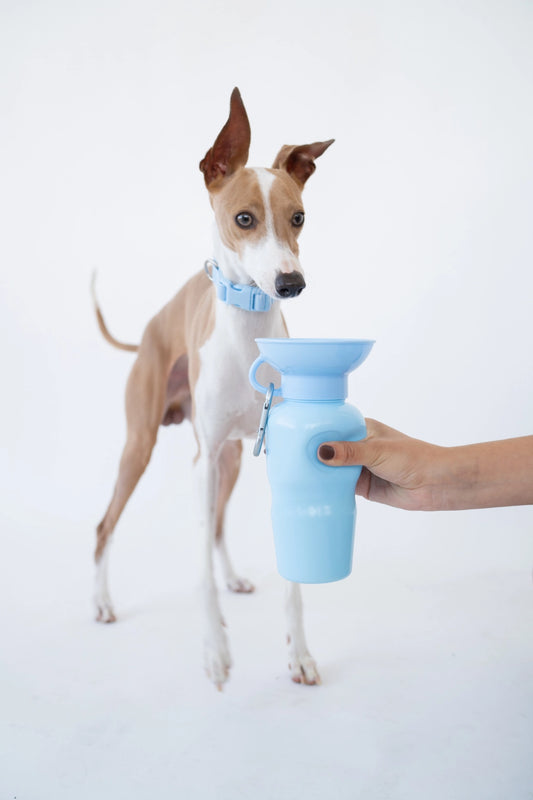 Classic Dog Travel Bottle