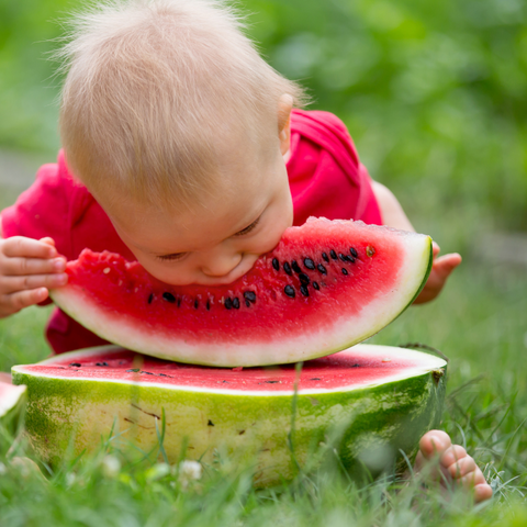 repas-bebe-exterieur