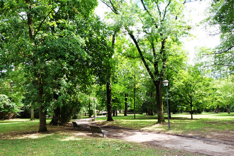 Parco Massari Ferrara natura