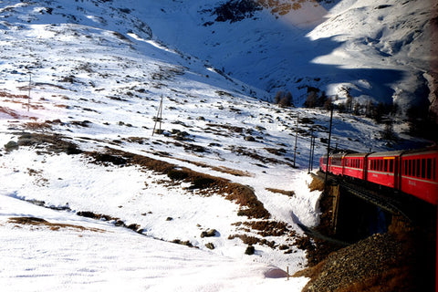 Trenino Rosso Bernina paesaggi