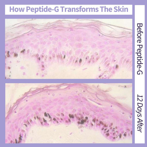 Peptide G - Skin Care Applications