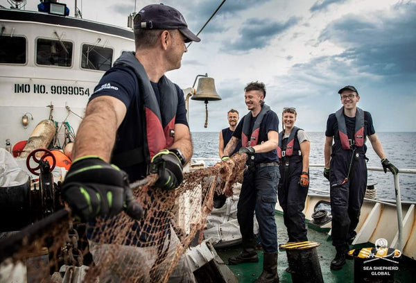 L'équipage Sea Shepherd remonte un filet de pêche