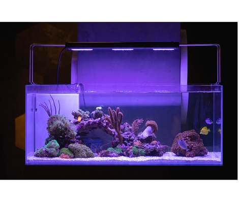 Discount Lighting and Fans has the best range of Aquarium LED Lighting applications on the sunshine Coast. 