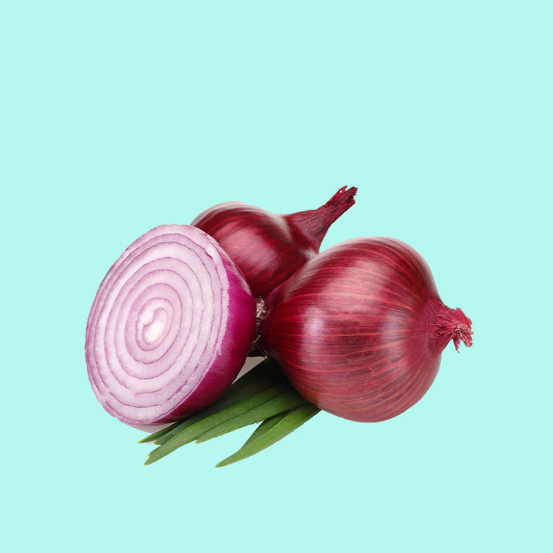 Palandu (Onion)