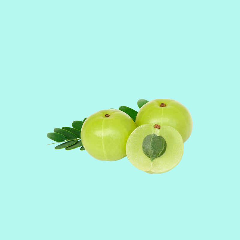 Indian gooseberry