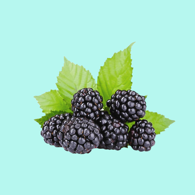 Mulberry