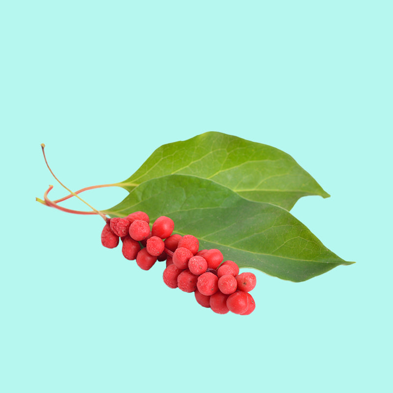 Schisandra Berry