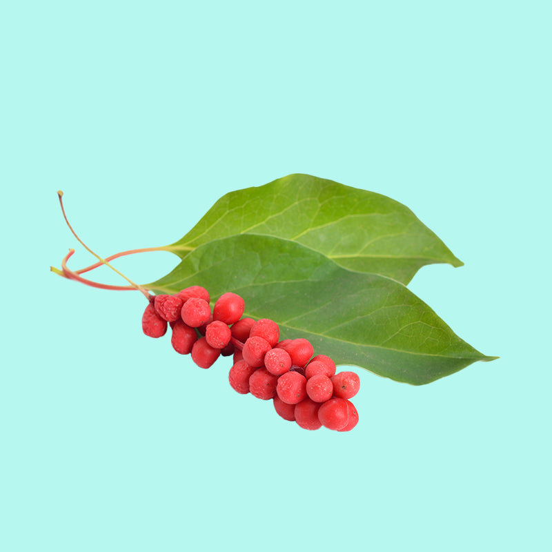 Schisandra chinensis (Magnolia berry extracts)