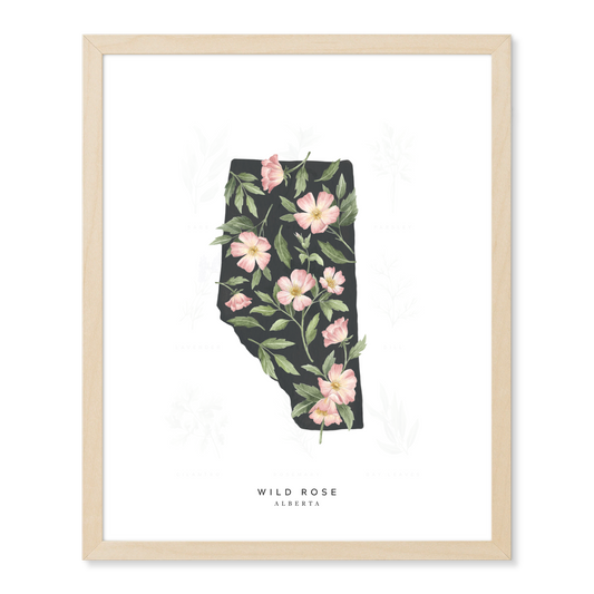 Alberta Wild Rose Sticker – Natasha Vanderburg Co.