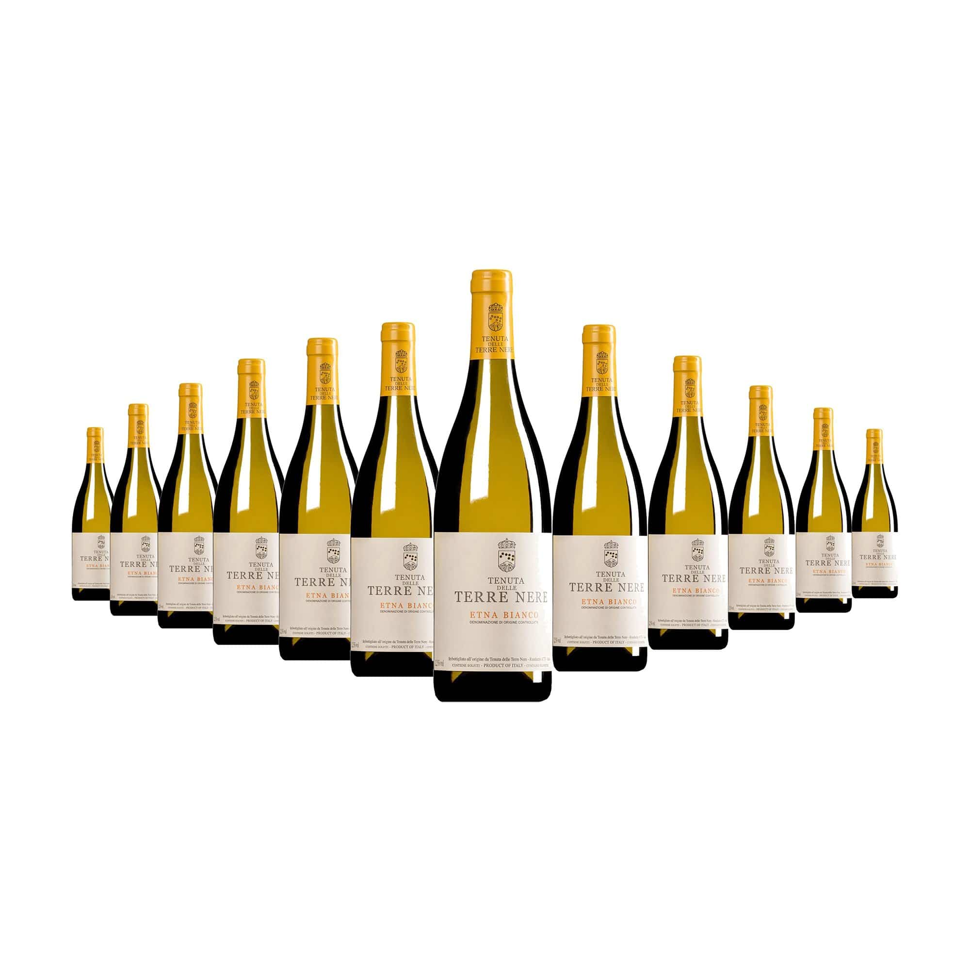 Tenuta delle Terre Nere Etna Bianco 2023 Case (12 bottles) - Philglas  Swiggot product image