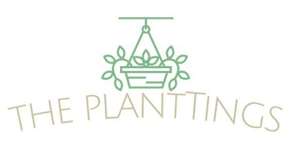 the planttings
