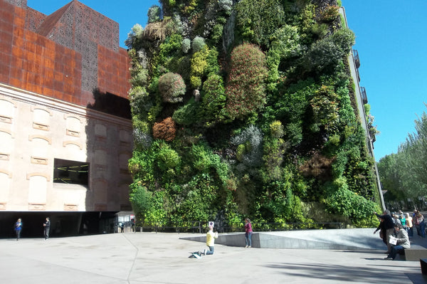 Verticale tuin in de publieke ruimte in Madrid