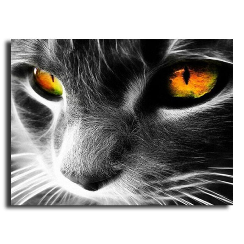 Peinture Par Numero Chat Noir Aux Yeux Jaunes 22 Arbrechats