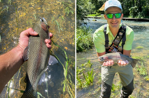 Meramec Spring Park Trout