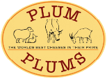 Logo Plum Plums Cheese