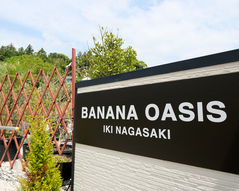 壱岐島のバナナ農園 BANANA FARM IKI 王様バナナ