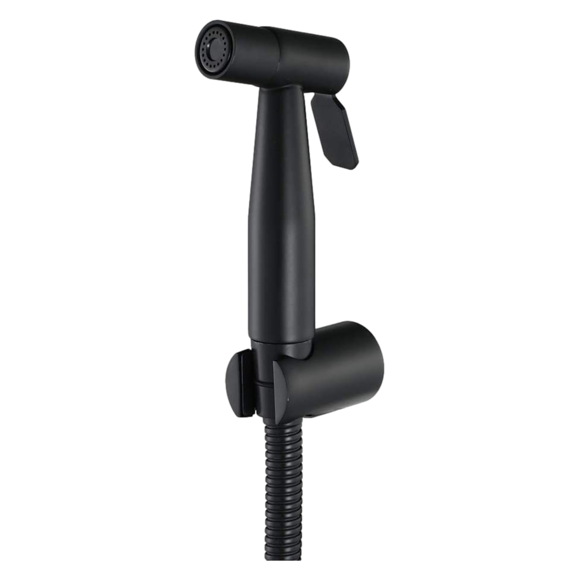 Bidet Handbrause schwarz - Praxis product image