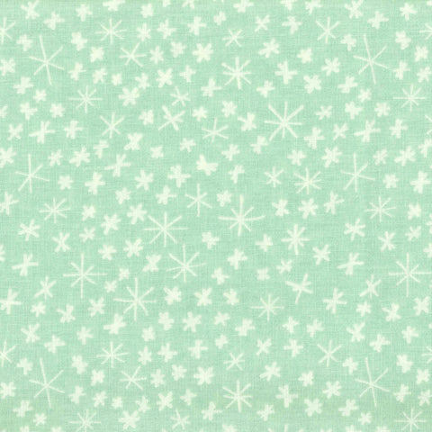 Fabric - Riley Blake Designs - Nice Ice Baby Snowflakes Mint - Half Yard