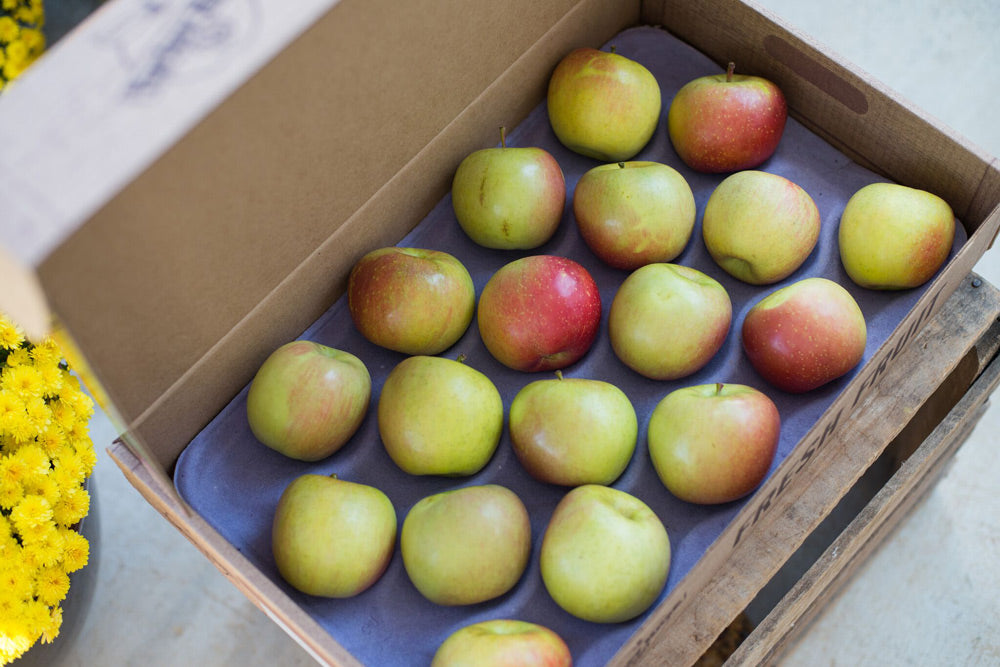 Granny Smith Apples  Tocco Fresh Produce