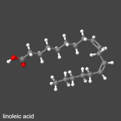 acide linoléique 3D