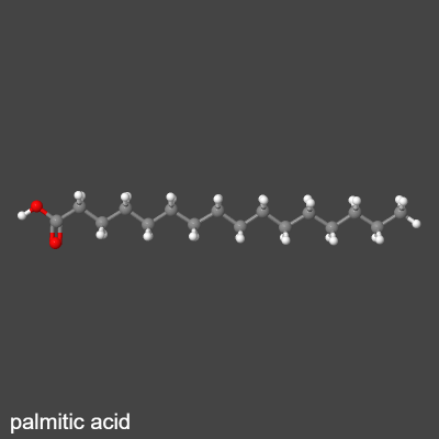 acide palmitique 3D