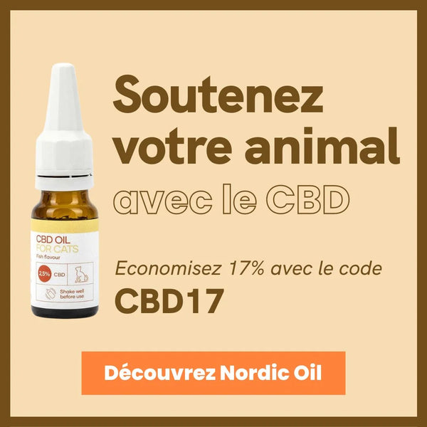 Huile de CBD pour Chat