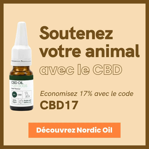 Huile CBD pour chien, CB 5%, Pour chien de taille moyenne