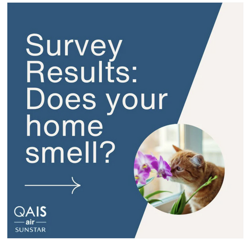 Graphical representation of survey results on pet odors in homes, indicating the percentage of pet owners concerned about home smells.