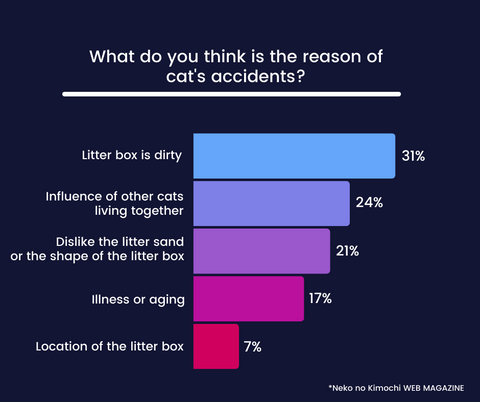 Why cats have accidents