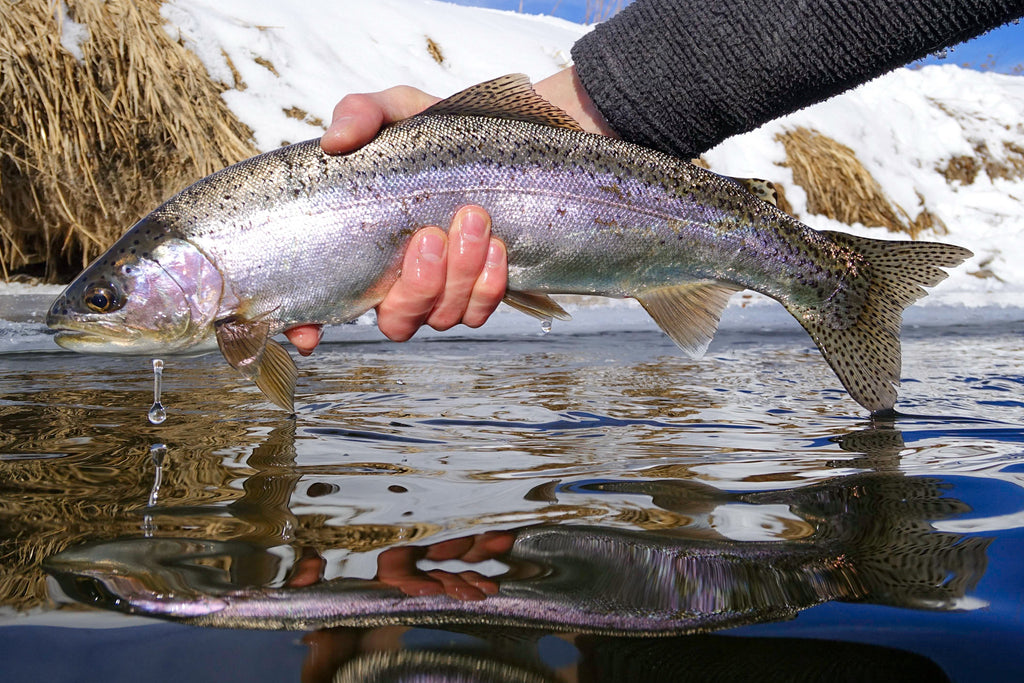 The White River is pretty special. Wrestled in plenty of bows, but no  browns as I'm apparently made of brown trout repellent. 😕 : r/flyfishing