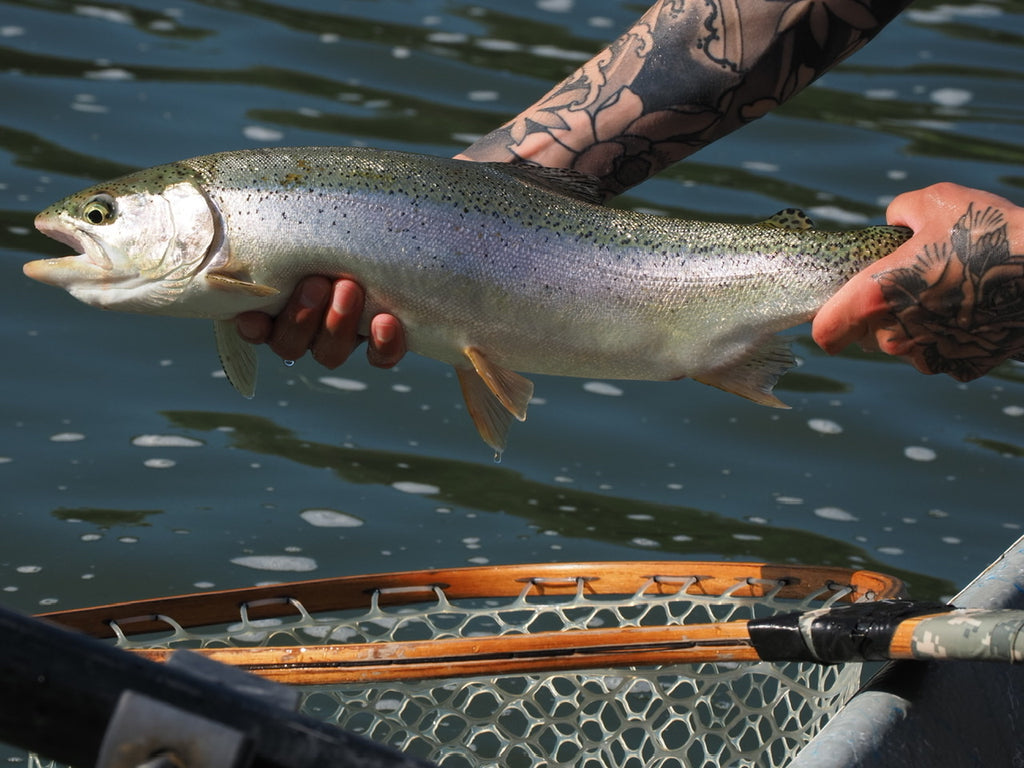 Fishing Report - Pre Winter – Bow River Troutfitters