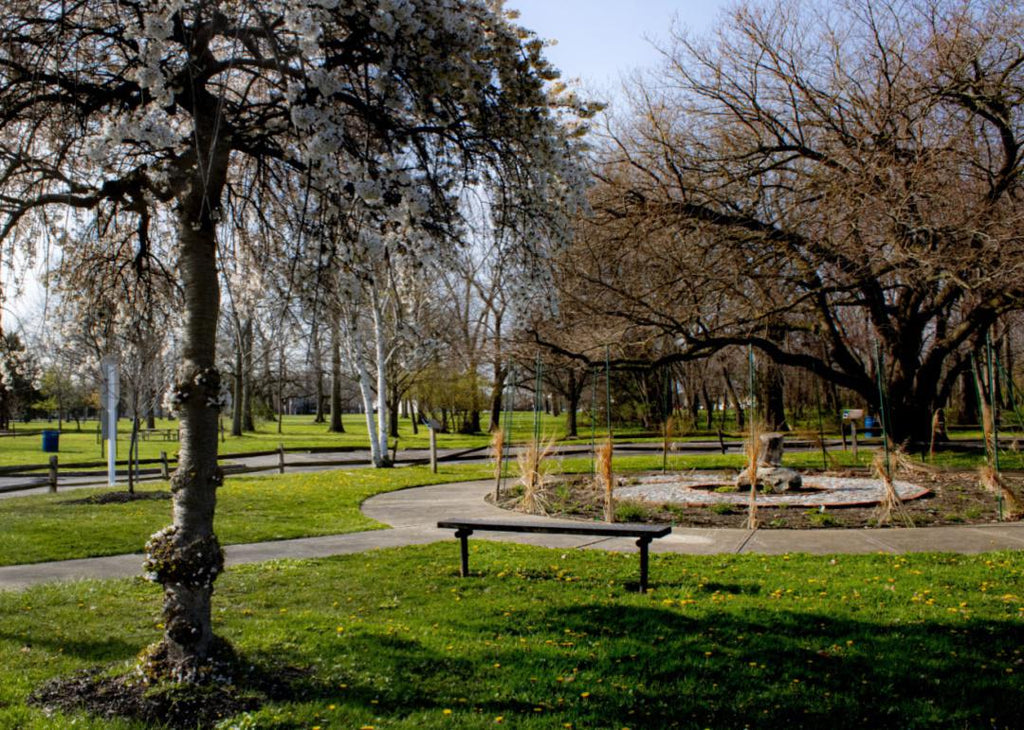 A park in Spring in Euclid, Ohio.