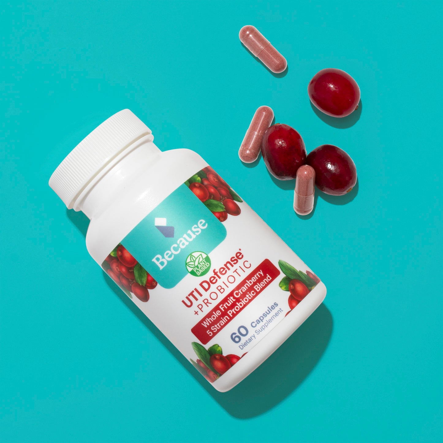 Blue background with white UTI Defense + Probiotic bottle next to three red capsules and three cranberries.