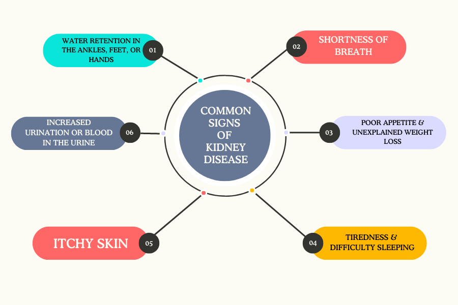 A graphic detailing the signs of kidney disease.
