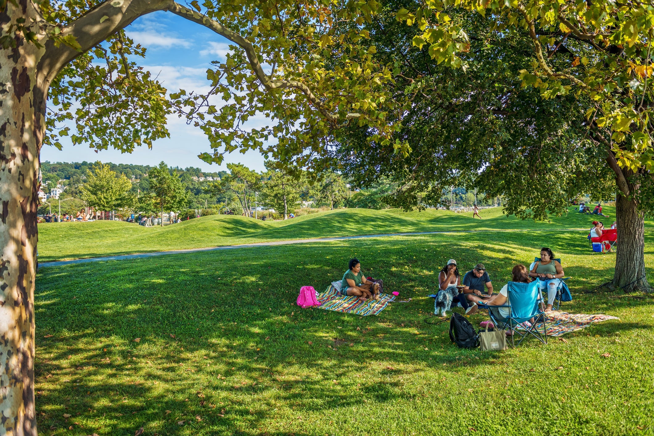 A family in the shade at a park.