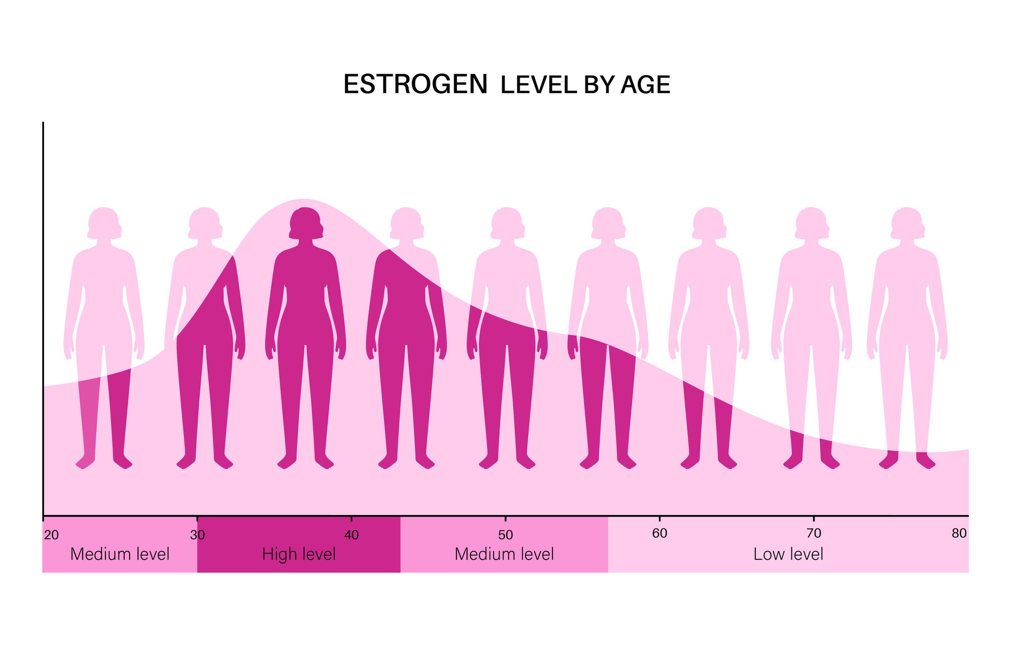 Graph depicting estrogen level by age.