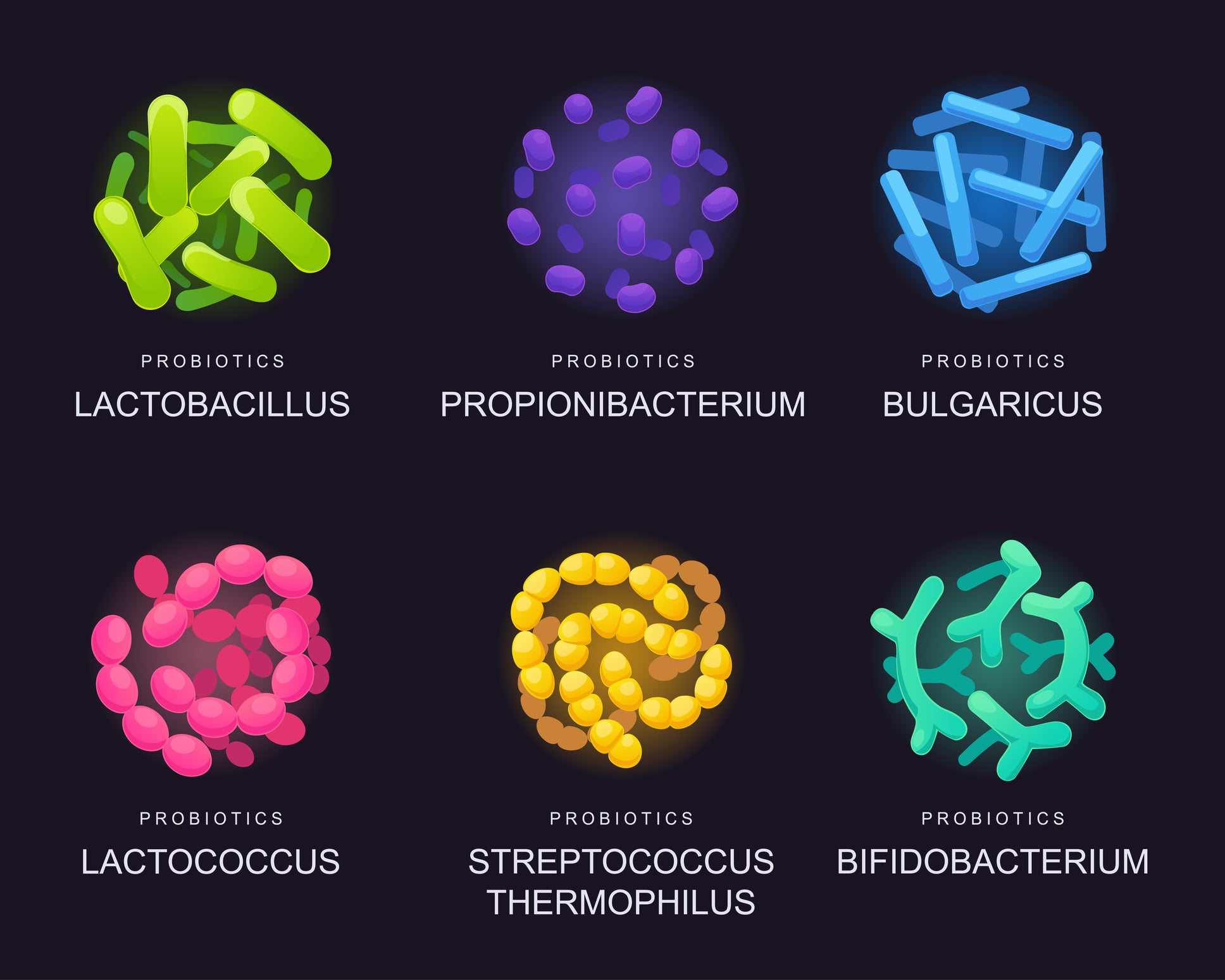 Graphical representation of different types of probiotics.