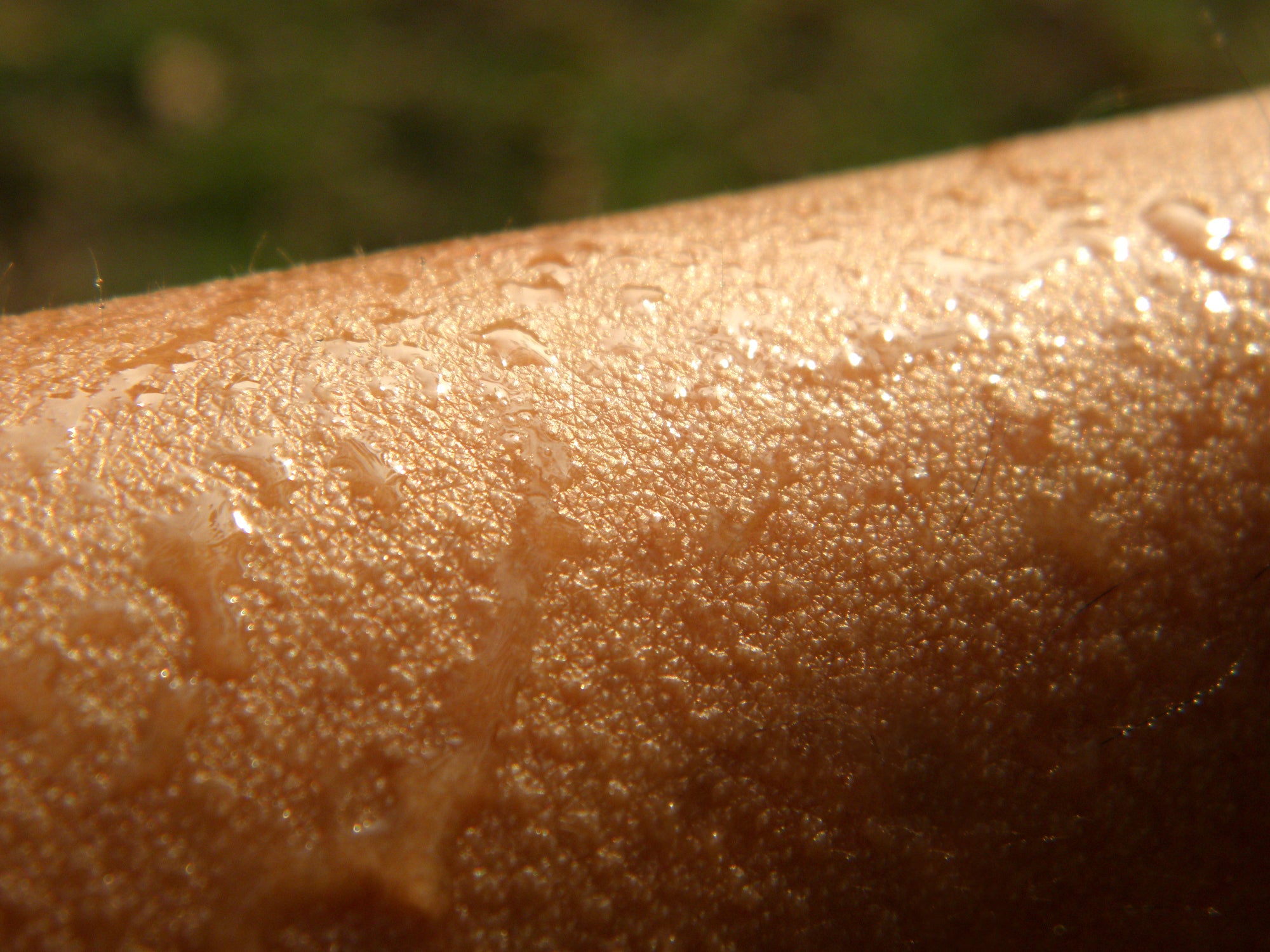 Sweat on an arm.