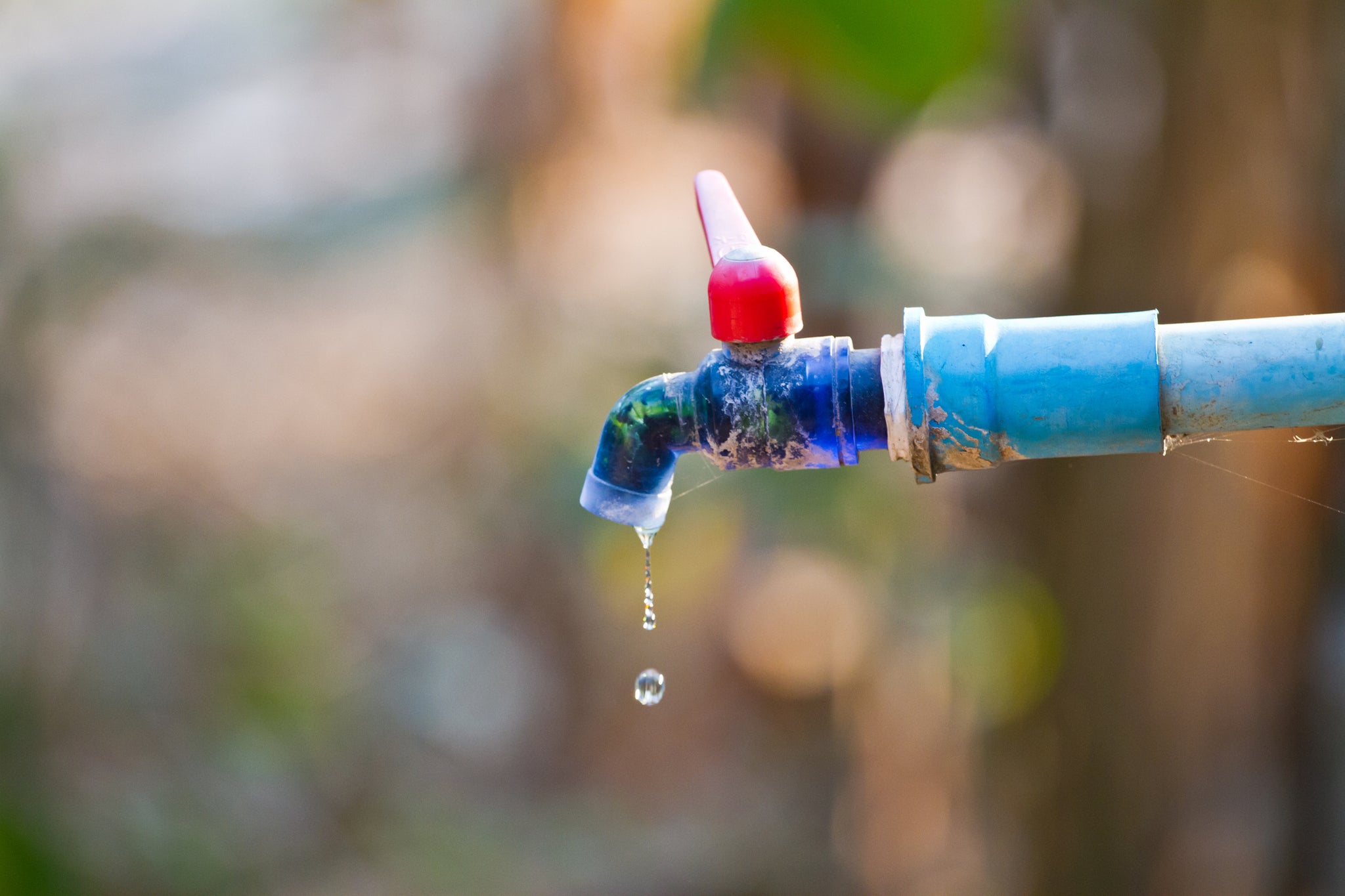 A dripping outdoor water faucet.