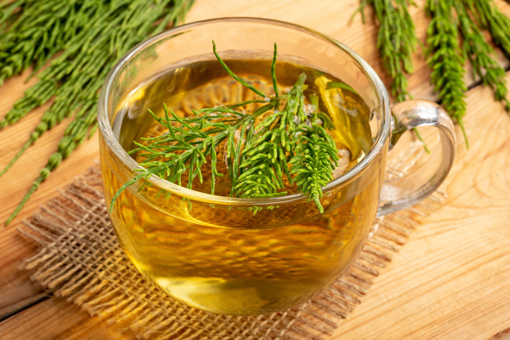 A cup of horsetail tea.